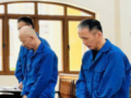 [2024년]베트남 좀도둑,김철,이효성,김동완